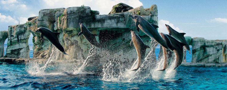 Parco Oltremare Riccione